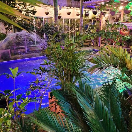 Hostal Hilltop Salento Ngoại thất bức ảnh