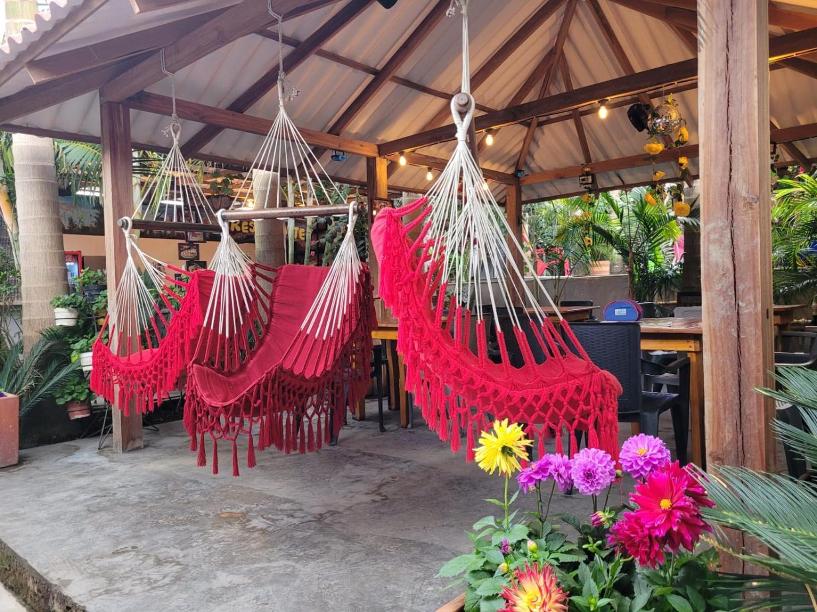 Hostal Hilltop Salento Ngoại thất bức ảnh